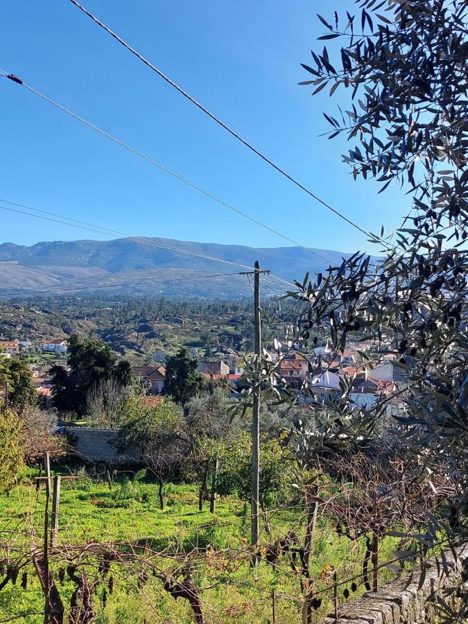 Ferienwohnung Casa Das Cortes - Serra Da Estrela Gouveia  Exterior foto